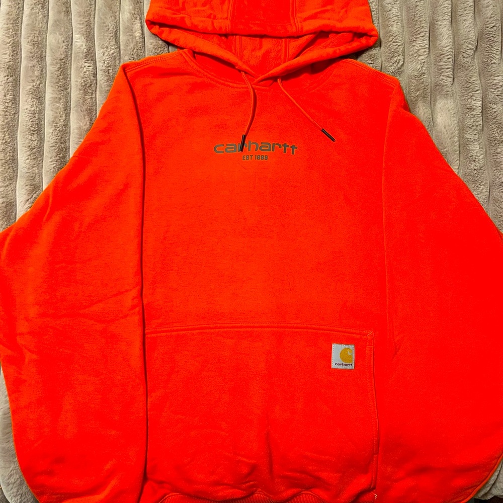 Carhartt Force hoodie